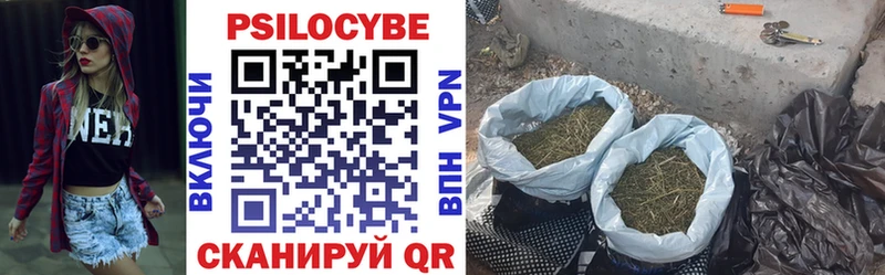 Псилоцибиновые грибы ЛСД Йошкар-Ола