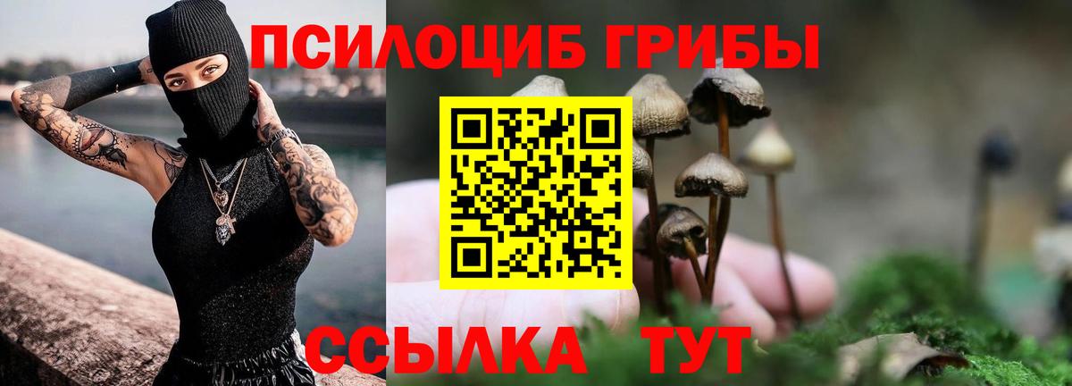 Галлюциногенные грибы Cubensis Йошкар-Ола